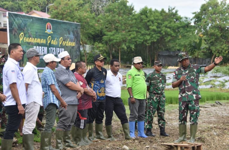 Brigjen TNI Frits Pelamonia Turun Langsung Tanam Padi di Papua! Wujudkan Ketahanan Pangan & Guncang Lahan Tidur!